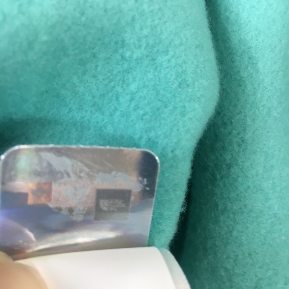 NWT The North Face Half Dome Hoodie in Lagoon! - Picture 4 of 4